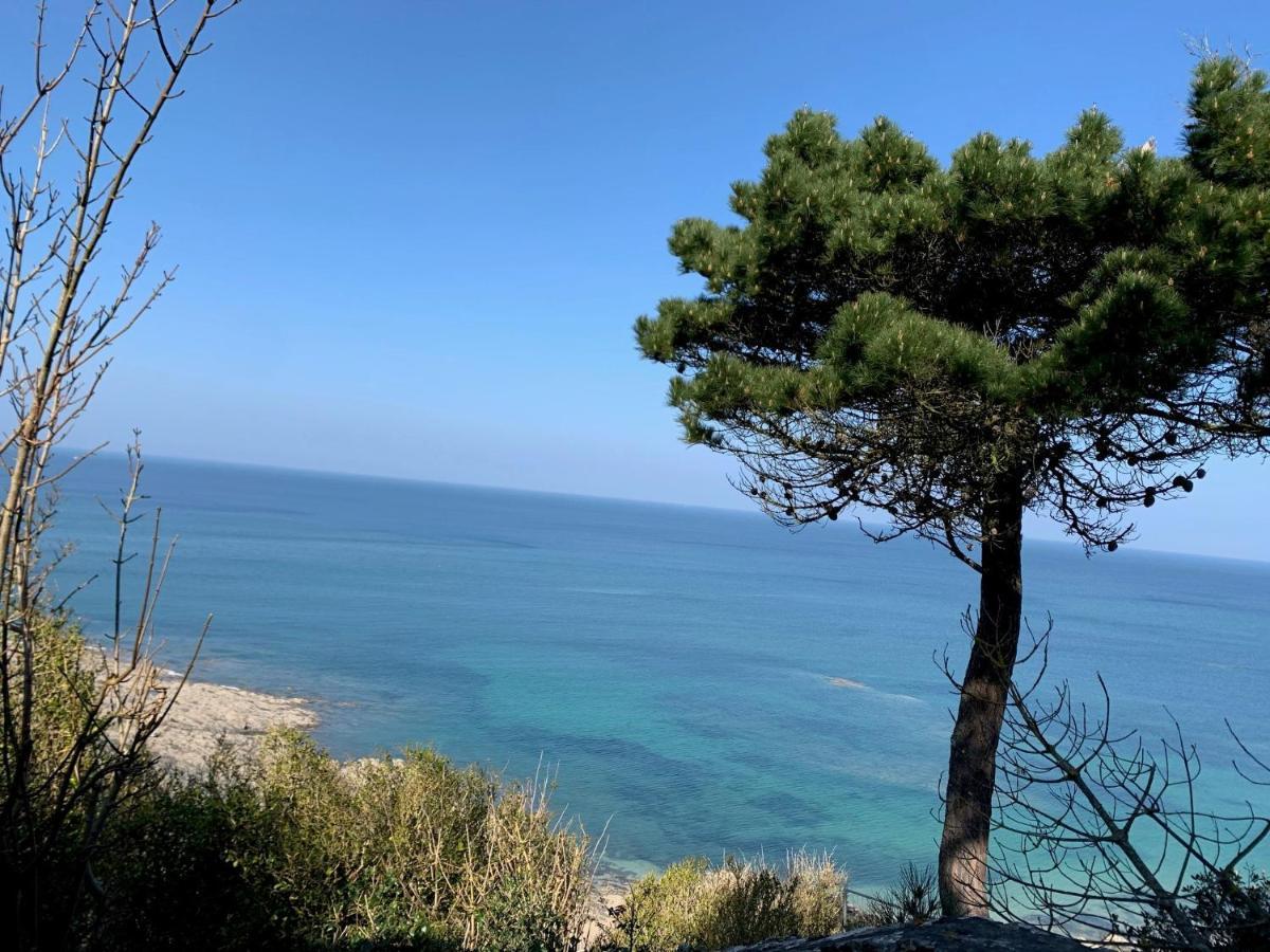 Appartement Villa Chausey, Vue Sur Le Port Granville Buitenkant foto